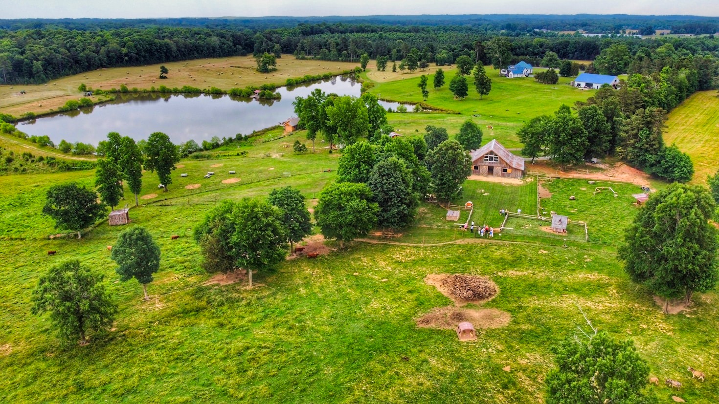 Imóveis Rurais como Alternativa de Investimento